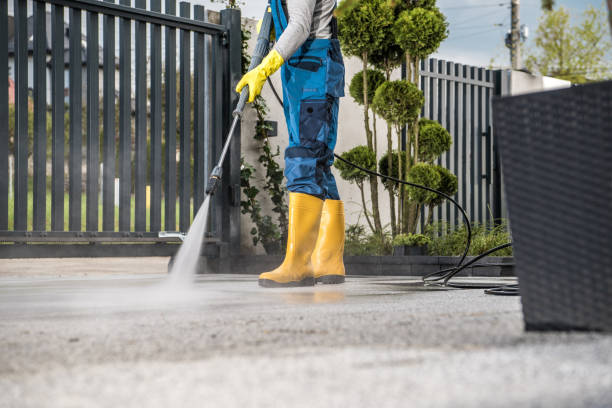 Best Roof Pressure Washing  in Eldorado, IL