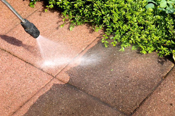 Best Best Pressure Washing Companies  in Eldorado, IL